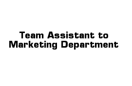 Team Assistant to Marketing Department